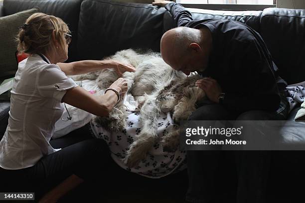 Cris Cristofaro holds his dog Dino as veterinarian Wendy McCulloch injects a sedative while performing an in-home pet euthanasia on May 9, 2012 in...