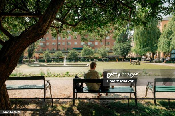 rear view of man and grandson sitting on bench at park - stockholm park stock pictures, royalty-free photos & images