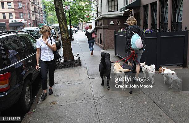 Veterinarian Wendy McCulloch , passes a dog walker with her pack on May 9, 2012 in New York City. McCulloch runs Pet Requiem, a home veterinary...