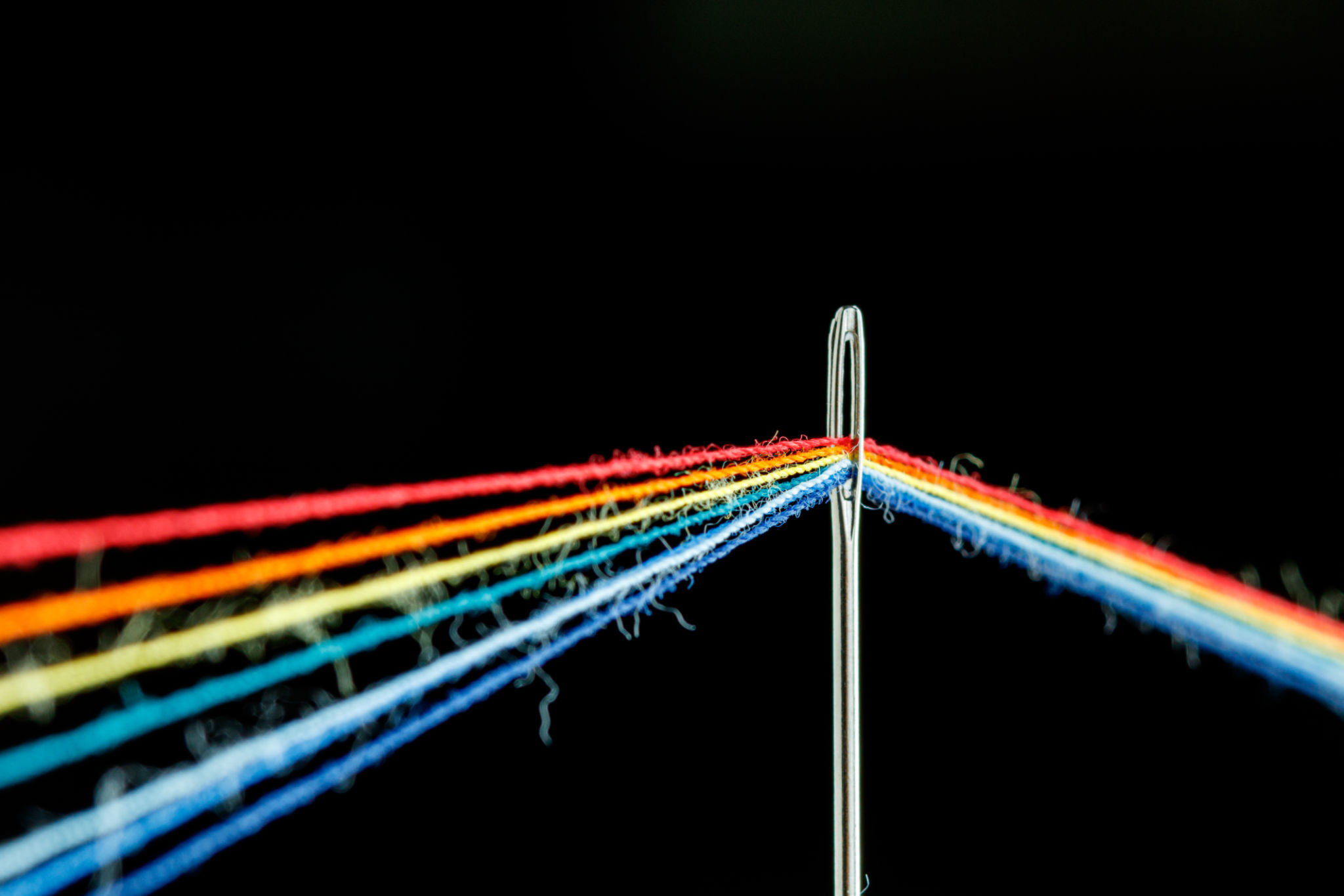 needles closeup