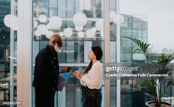 co-workers stand face-to-face beside a huge window and have a conversation - initiative stock-fotos und bilder