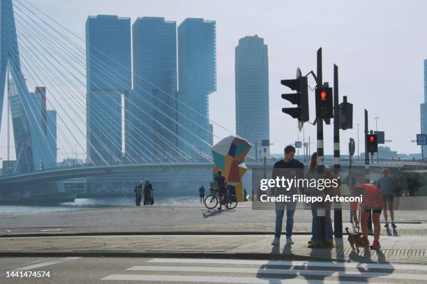 people crossing road in rotterdam - zebra crossing stock pictures, royalty-free photos & images