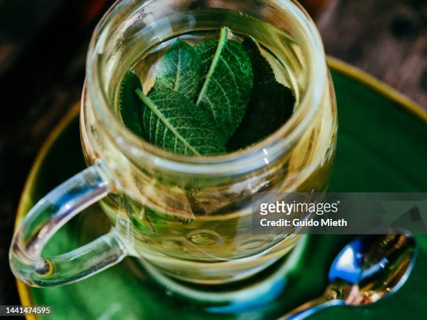 glass of tea beside on a green plate. - chamomile tea bag stock pictures, royalty-free photos & images