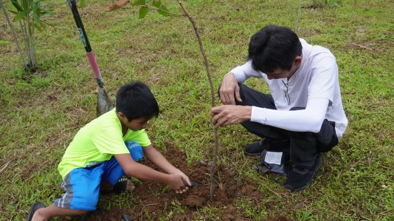 Native Tree Planting 4,162 Native Tree Stock Videos, Footage, & 4K Video Clips - Getty Images