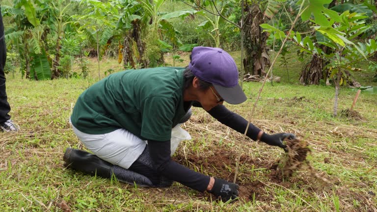 Native Tree Planting 4,162 Native Tree Stock Videos, Footage, & 4K Video Clips - Getty Images