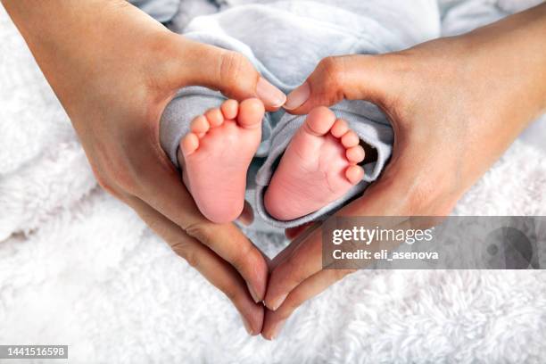 baby's feet in heart shaped hands - pé imagens e fotografias de stock