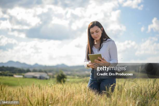 female agronomist looking at wheat field - young agronomist stock pictures, royalty-free photos & images