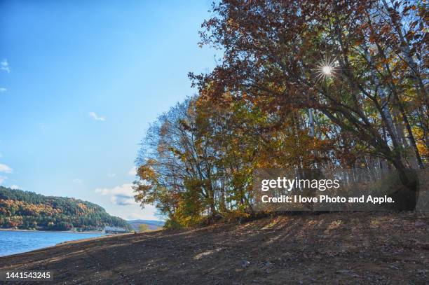 tohoku autumn scenery - 岩手県 個照片及圖片檔