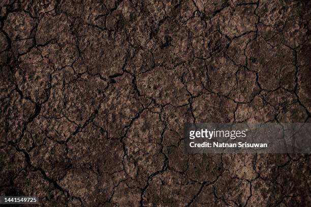 cracked clay ground into the dry season - land foto e immagini stock
