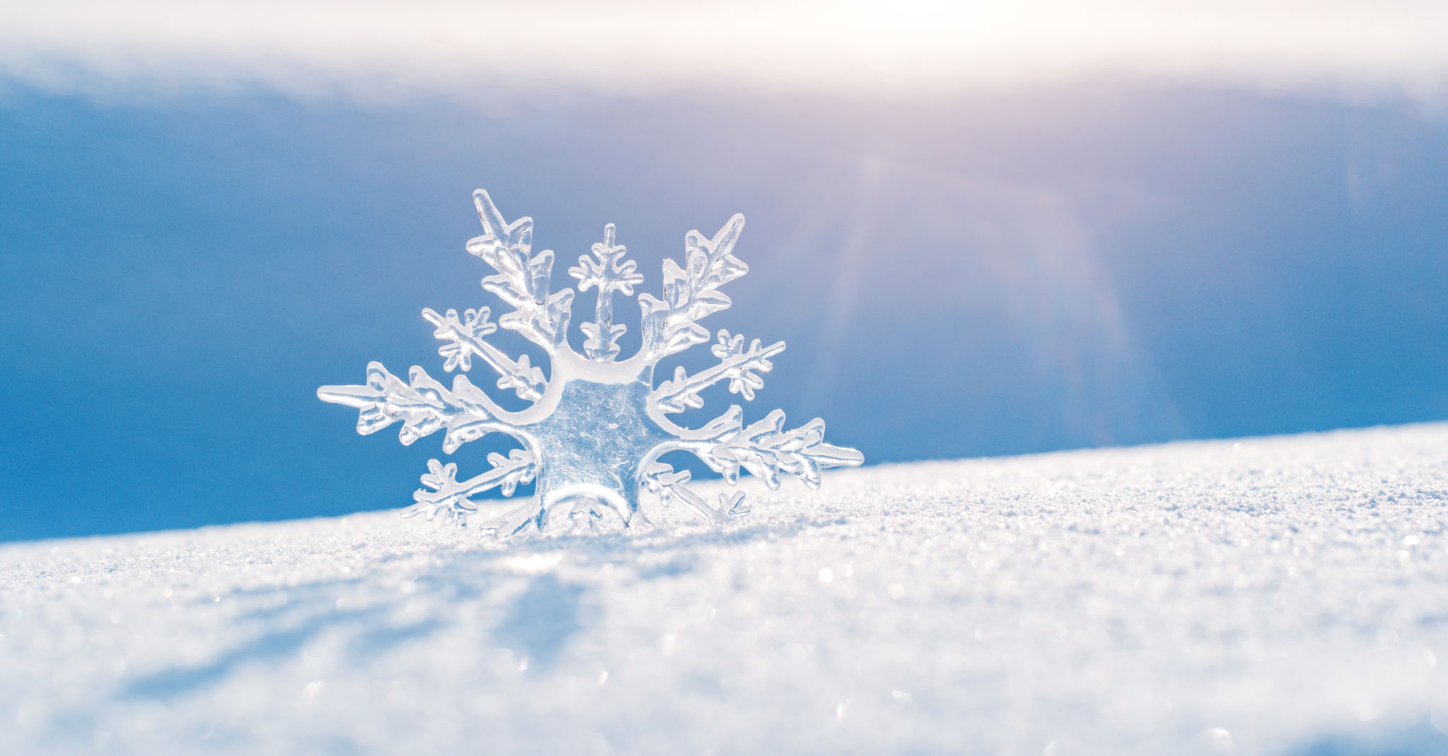 winter snowflake tattoo