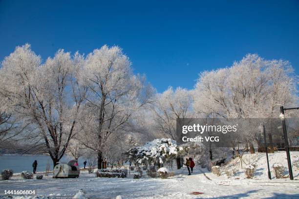 Visitors enjoy rime-covered trees in winter on November 14, 2022 in Jilin City, Jilin Province of China.