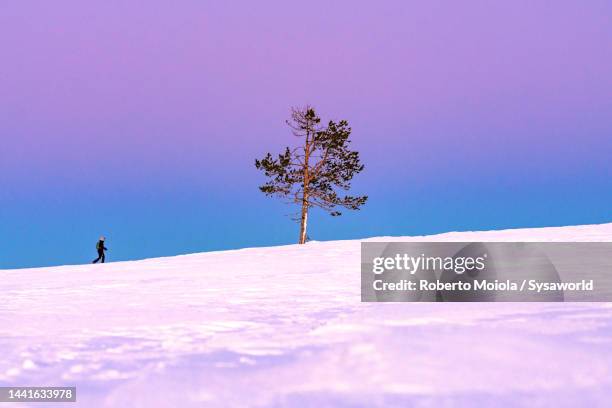 woman snowshoeing in the snowy landscape at dusk - polar climate - fotografias e filmes do acervo