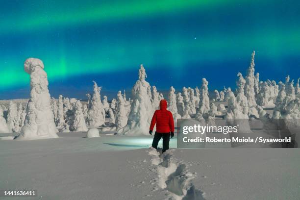 hiker admiring ice sculptures during the northern lights - finnish lapland stock-fotos und bilder