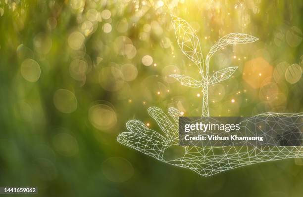 environment earth day of hand holding tree icon design - new life sign stock pictures, royalty-free photos & images