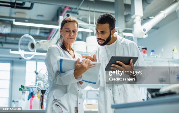 wissenschaftler im labor - medical study stock-fotos und bilder