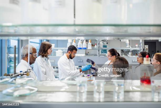 científicos que trabajan en el laboratorio - laboratorio fotografías e imágenes de stock