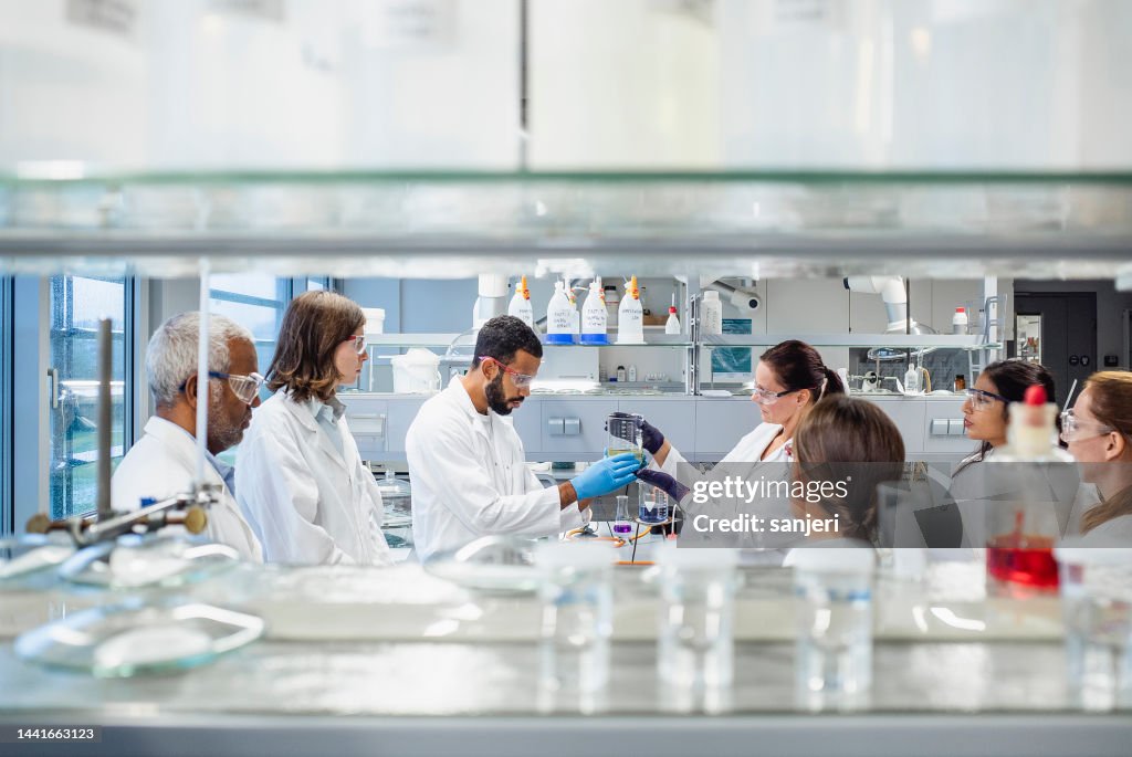 Scientists working in the laboratory