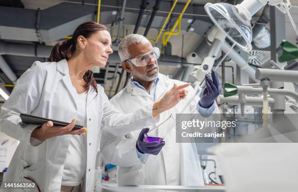 scientists working in the laboratory - hematology stock pictures, royalty-free photos & images