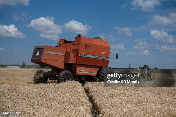 Combine harvester harvests winter wheat crop at Redwood farm on November 11, 2022 in Ticehurst, Zimbabwe. With the wheat shortage caused by the...