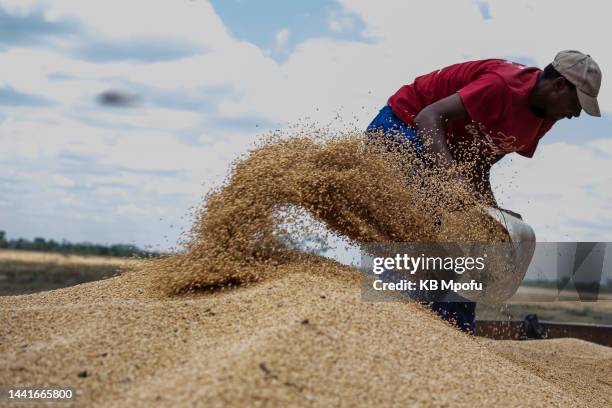 Agriculture Zimbabwe Photos and Premium High Res Pictures - Getty Images