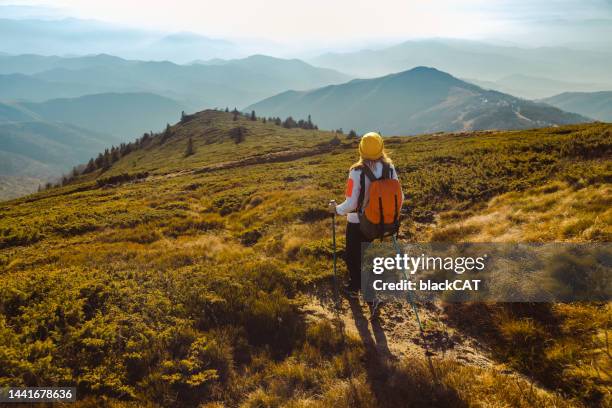 山頂からの景色を楽しむアクティブな若い女性 - 登山用ストック ストックフォトと画像