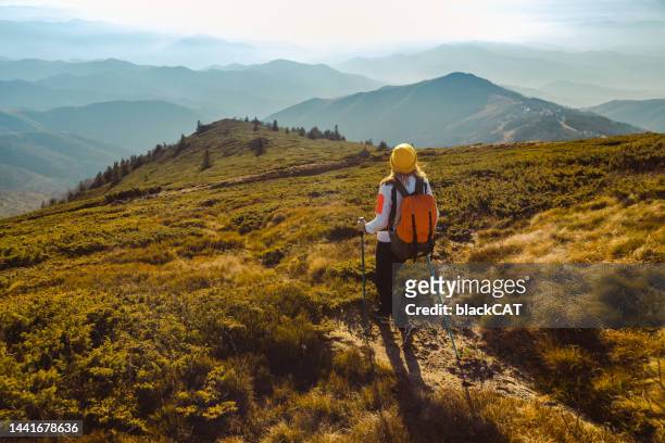 active young woman enjoying the view from mountain peak - hiking pole stockfoto's en -beelden