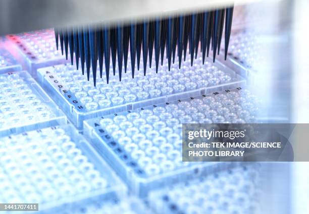 laboratory automation - microplate stock pictures, royalty-free photos & images