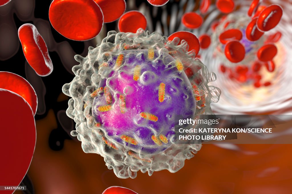 Leukaemia white blood cell with mitochondria, illustration