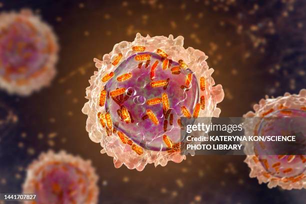 leukaemia white blood cell with mitochondria, illustration - leukemia stock illustrations