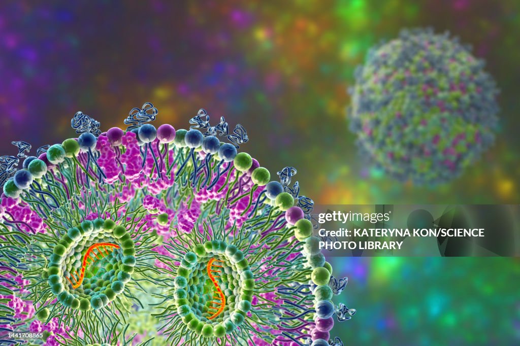 Mrna Graphoc Lipid Nanoparticle Mrna Vaccine Illustration High-Res Vector Graphic ...