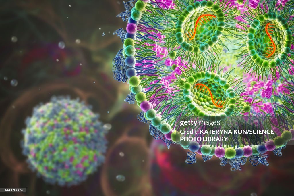 Mrna Graphoc Lipid Nanoparticle Mrna Vaccine Illustration High-Res Vector Graphic ...