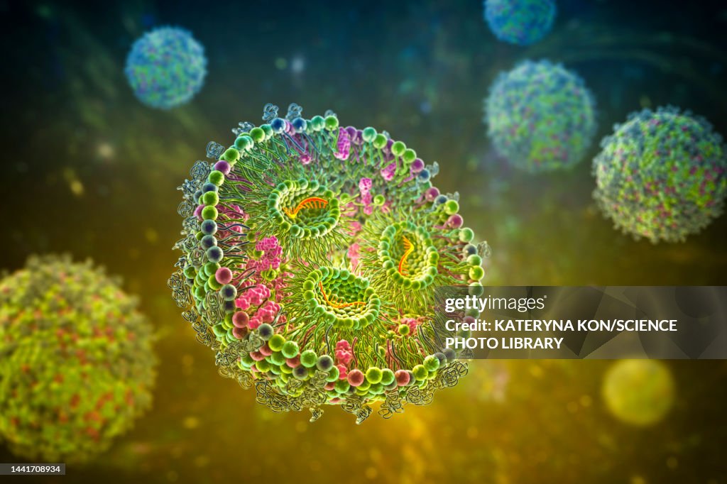 Lipid nanoparticle mRNA vaccine, illustration