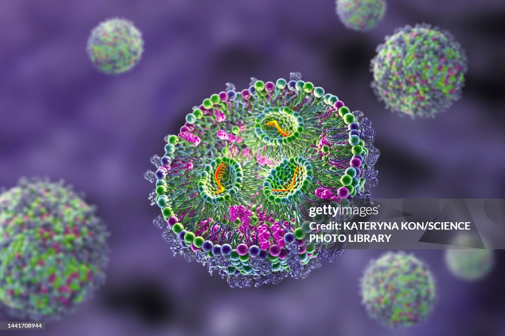Mrna Graphoc Lipid Nanoparticle Mrna Vaccine Illustration High-Res Vector Graphic ...