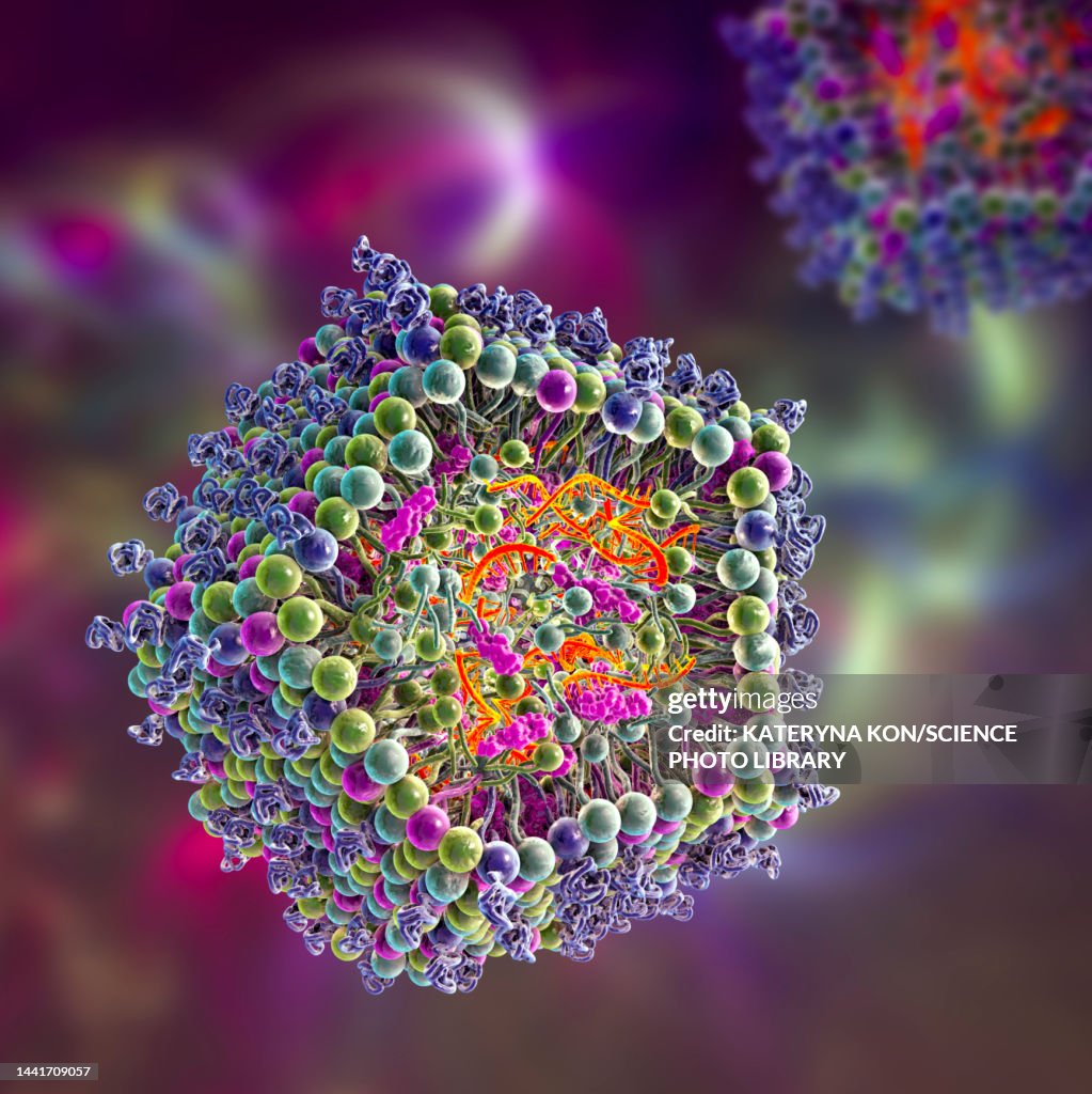 Mrna Graphoc Lipid Nanoparticle Mrna Vaccine Illustration High-Res Vector Graphic ...