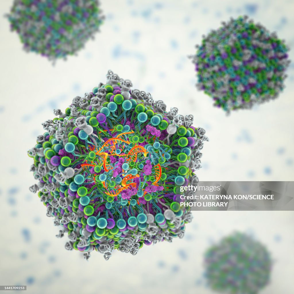 Mrna Graphoc Lipid Nanoparticle Mrna Vaccine Illustration High-Res Vector Graphic ...
