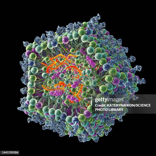 Mrna Graphoc Lipid Nanoparticle Mrna Vaccine Illustration High-Res Vector Graphic ...
