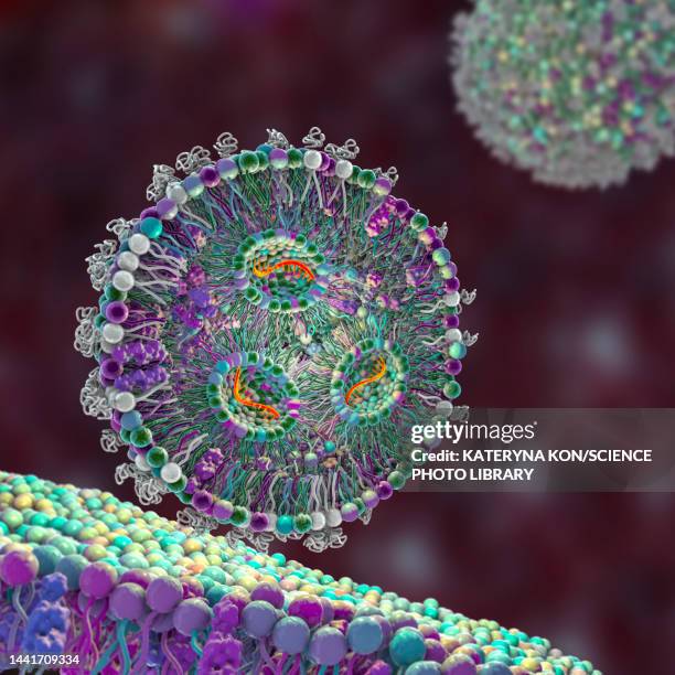 lipid nanoparticle mrna vaccine, illustration - immunology stock illustrations