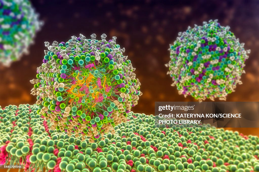 Mrna Graphoc Lipid Nanoparticle Mrna Vaccine Illustration High-Res Vector Graphic ...