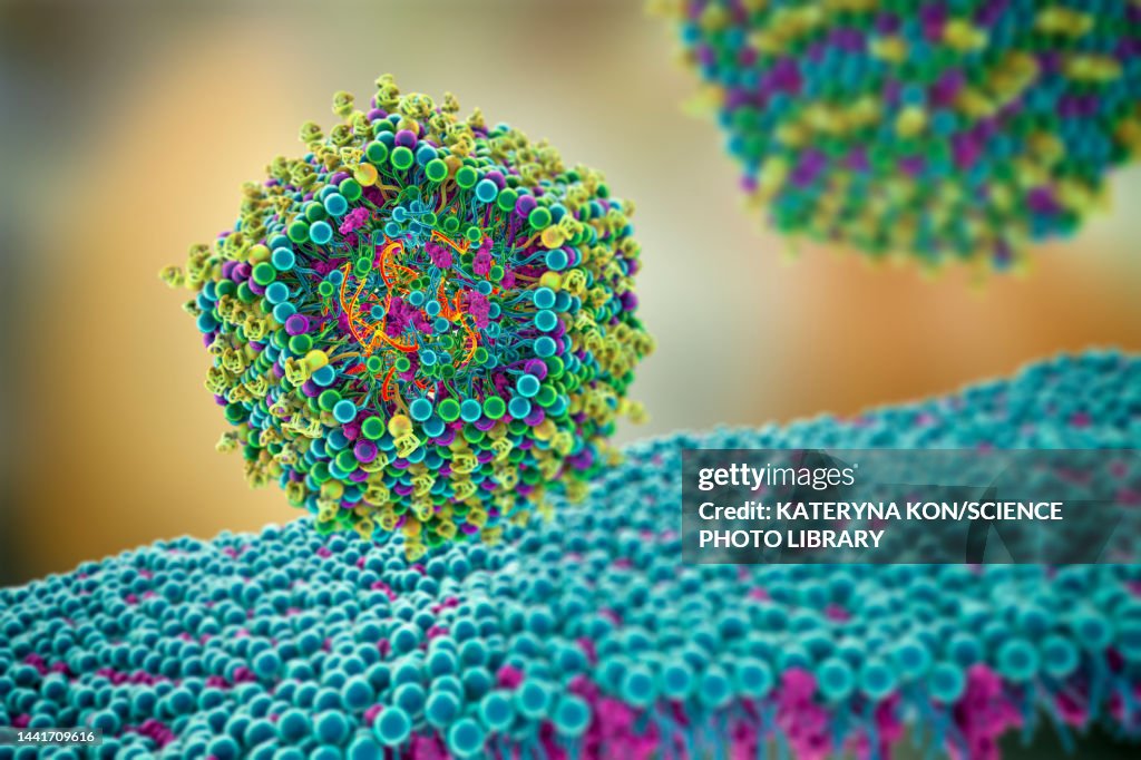 Mrna Graphoc Lipid Nanoparticle Mrna Vaccine Illustration High-Res Vector Graphic ...