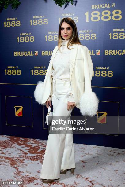 Actress Elena Furiase attends the "Brugal 1888: El Ron Gastronomico" presentation at the Four Seasons Hotel on November 15, 2022 in Madrid, Spain.