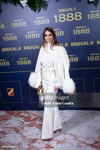 Actress Elena Furiase attends the "Brugal 1888: El Ron Gastronomico" Presentation at Sala Sol Four Seasons Hotel Madrid on November 15, 2022 in...