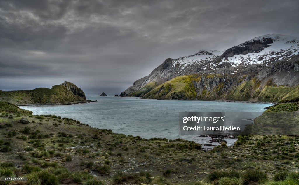 Elsehul Bay on South Georgia
