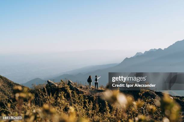 mochileros disfrutando de la vista del cañón - natura fotografías e imágenes de stock