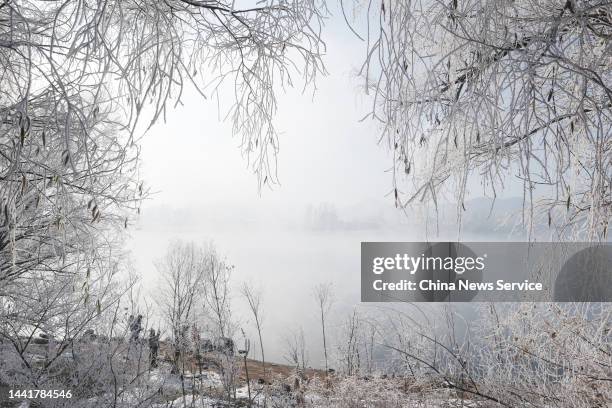 People view rime-covered trees along the banks of Songhua River on November 15, 2022 in Jilin City, Jilin Province of China.