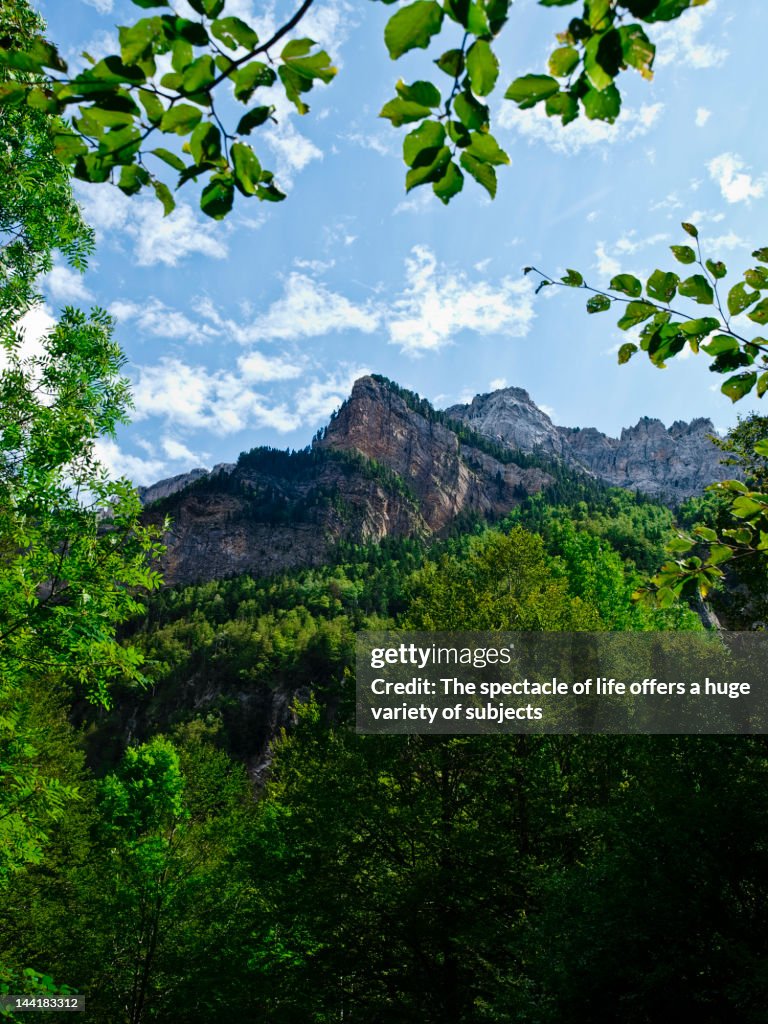 Le Mirador de Calcilarruego
