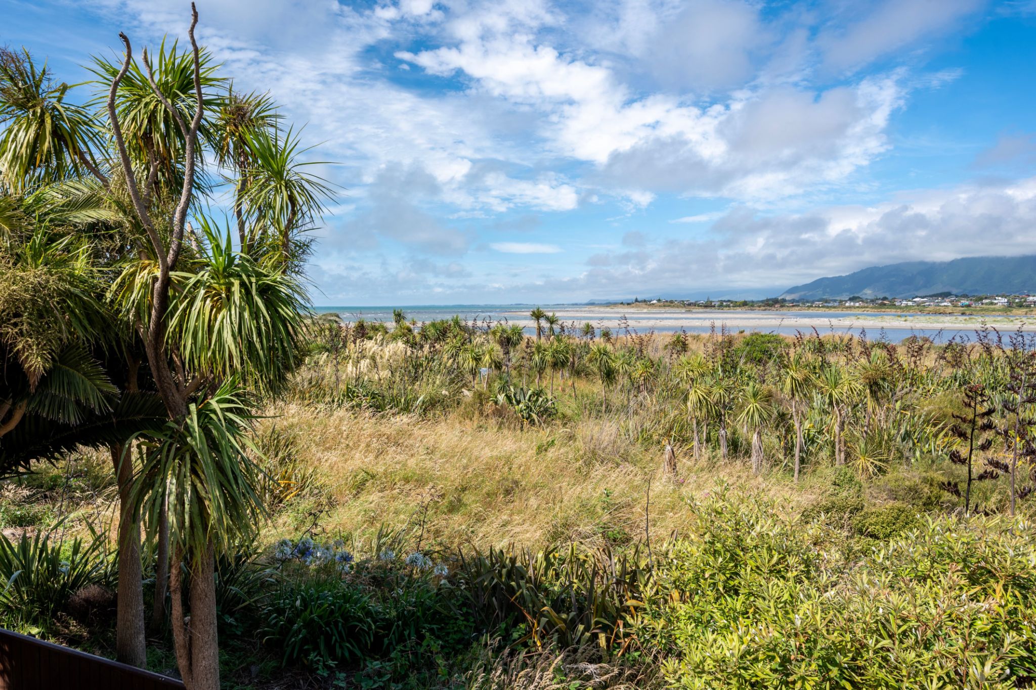 kapiti coast garden