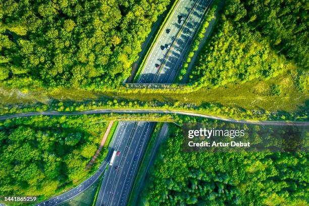 aerial directly above view of a green bridge ecoduct for fauna crossing above highway in the western europe. - cruzar puente fotografías e imágenes de stock