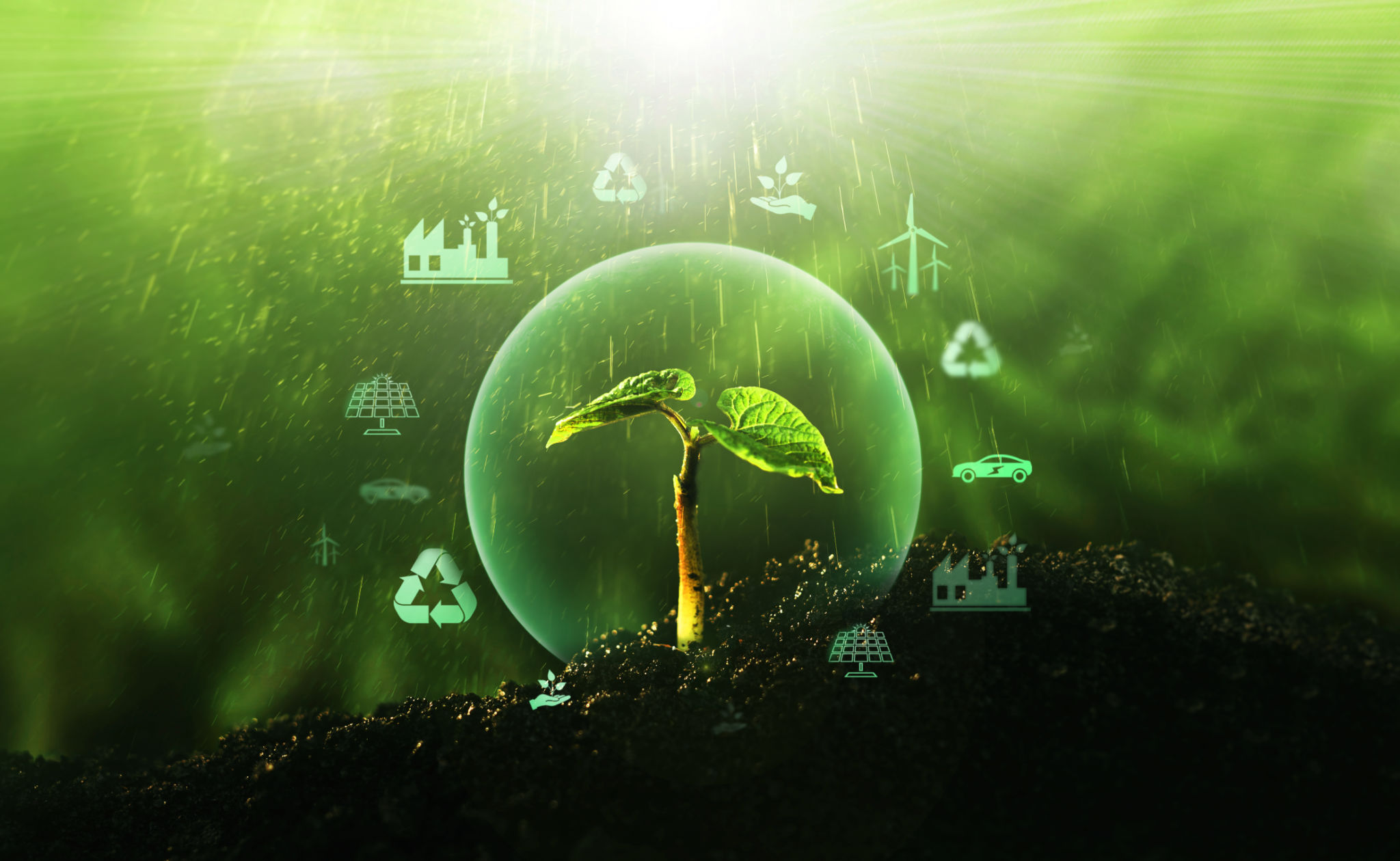 agriculture emissions