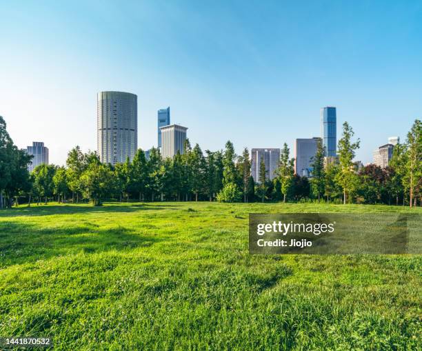 downtown park - trees horizon stock pictures, royalty-free photos & images