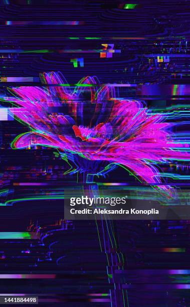motion glitch interlaced multicolored distorted textured futuristic daisy flower on dark background with copy space - glitch art stock-fotos und bilder